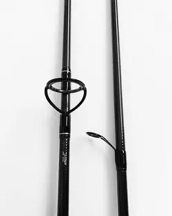 چوب ماهیگیری دایوا DAIWA PROCASTER A