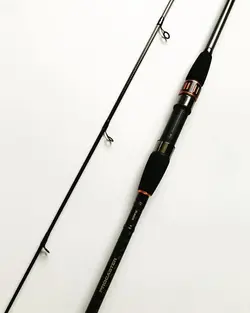 چوب ماهیگیری دایوا DAIWA PROCASTER A