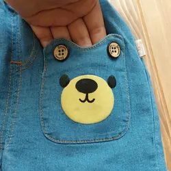 ست دوتیکه Bear