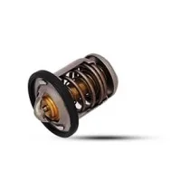 ترموستات موتور ان اس 200