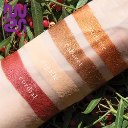 پلت سایه فورس گرنت ویزآرت | viseart petites fours garnet eyeshadow palette