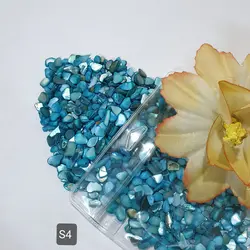 سری S (صدف های وارداتی)