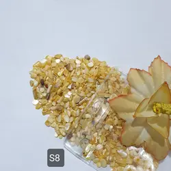 سری S (صدف های وارداتی)