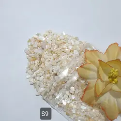 سری S (صدف های وارداتی)