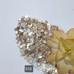 سری S (صدف های وارداتی)