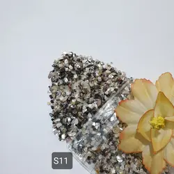 سری S (صدف های وارداتی)