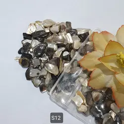 سری S (صدف های وارداتی)