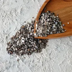 صدف خاکستری