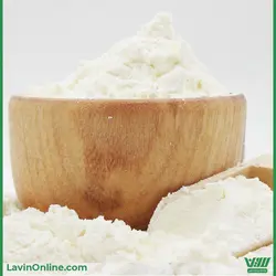 پودر آب پنیر