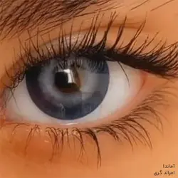 لنز سرمه ای مرکز طوسی آماندا امرالد گری