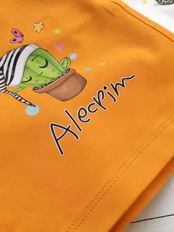 ست کاکتوس