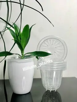 نت پات با قطر ۷.۵ سانتیمتری (پک ۵ تایی)