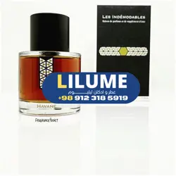 عطر ادکلن لس ایندیمودبلس وانیل هاوان 50 میل مردانه – زنانه