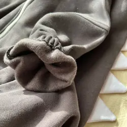 سرهمی دایناسور