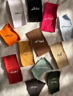 هودی نیکلا