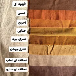 شومیز نلی (در رنگبندی)