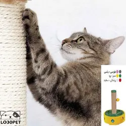 اسکرچر گربه کدیپک مدل شهر فرنگ (ارسال رایگان)