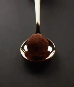 ترافل شکلاتی