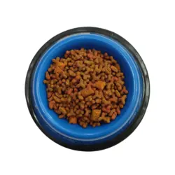 غذای خشک گربه مونلو تشویقی دار 500 گرمی