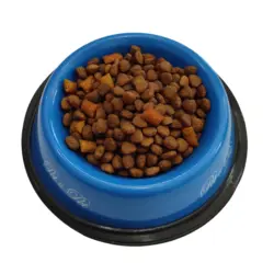 غذای خشک سگ مونلو مدل پاپی 500 گرمی