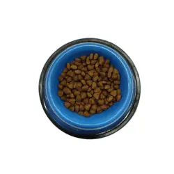 غذای خشک فیدار گربه بالغ 500 گرمی