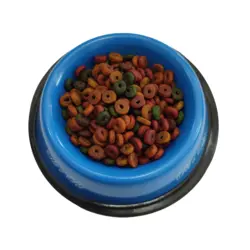 غذای گربه بالغ رفلکس مولتی کالر سفارش عراق 500 گرمی