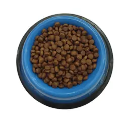 غذای گربه هپی کت جونیور 500 گرمی