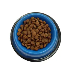 غذای سگ وودو مدل ادالت مینی 500 گرمی