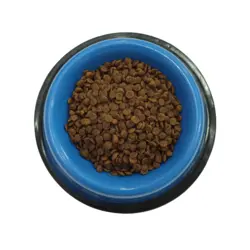 غذای بچه گربه هپی کت 500 گرمی