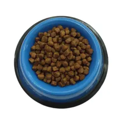 غذای گربه بالغ هپی کت هربال 500 گرمی