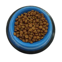 غذای گربه بالغ هپی کت یورینری 500 گرمی