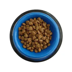 غذای گربه بالغ جوسرا طعم گوشت 500 گرمی