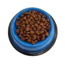 غذای گربه بالغ رویال کنین پوست و مو 500 گرمی