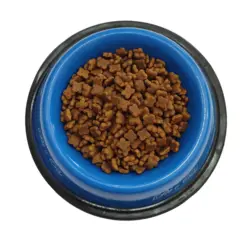 غذای بچه گربه رویال کنین 500 گرمی