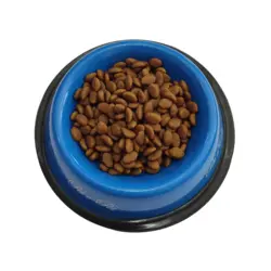 غذای گربه بالغ پرشین رویال کنین 500 گرمی