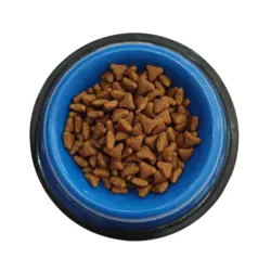 غذای گربه بالغ رویال کنین (INDOOR) 500 گرمی