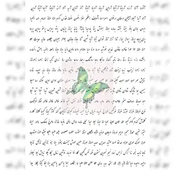 طلق رزین اسم دخترانه