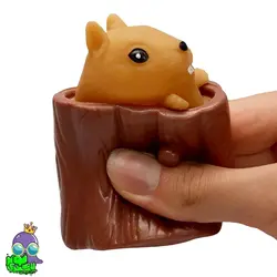 فیجت سنجاب بازیگوش