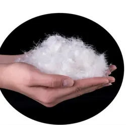 کاپشن پر لایت TOP kingdom