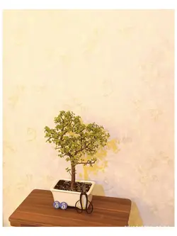 بونسای خرفه_کد ۳۵