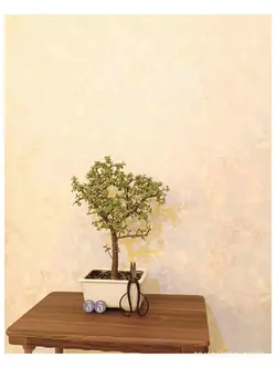 بونسای خرفه_کد ۳۵