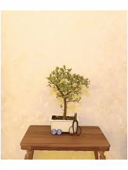 بونسای خرفه_کد ۳۵