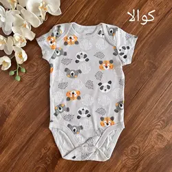 بادی میکس.