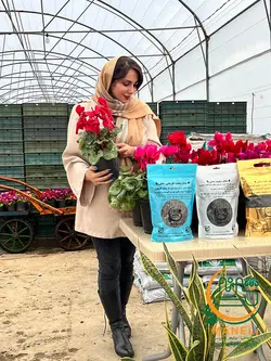 خاک کاکتوس