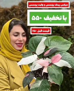 میکس پینک پرنسس و وایت پرنسس