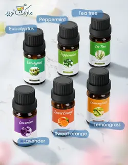 دستگاه بخور سرد و گرم Homeasy