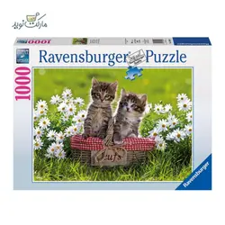 پازل بازی 1000 تکه Ravensburger طرح پیک نیک در چمنزار