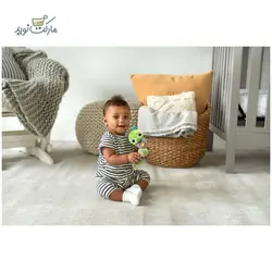 جغجغه کرم ابریشم موزیکال Vtech