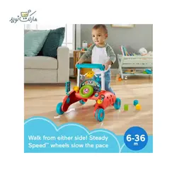 واکر 2 طرفه سری Fisher Price