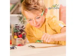 ست بازی پک حشرات مدل Terra